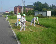 芝刈り機で一気に除草