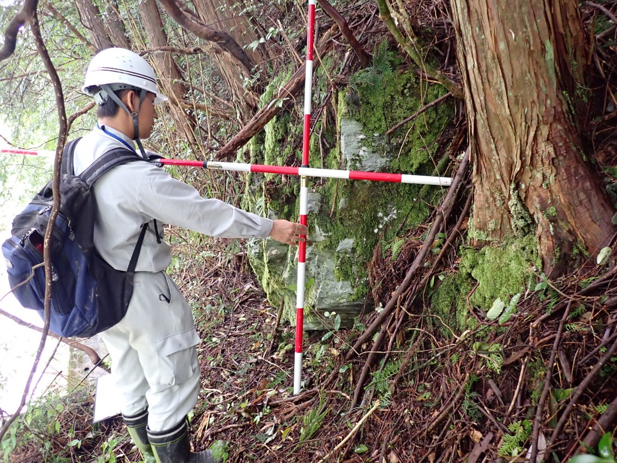 落石調査の様子です。