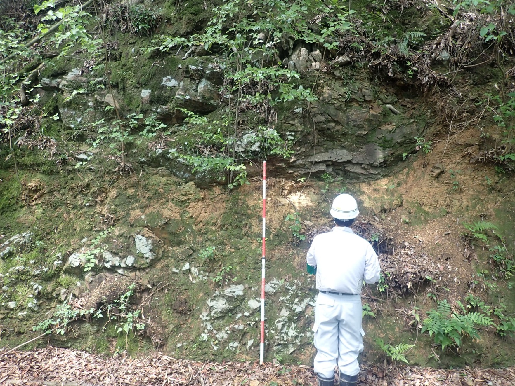 現地の露頭観察をしています。